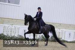 25R13_13546 proof