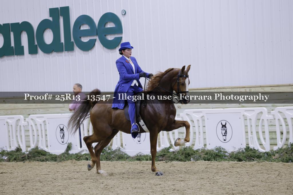 Proof 25R13_13547