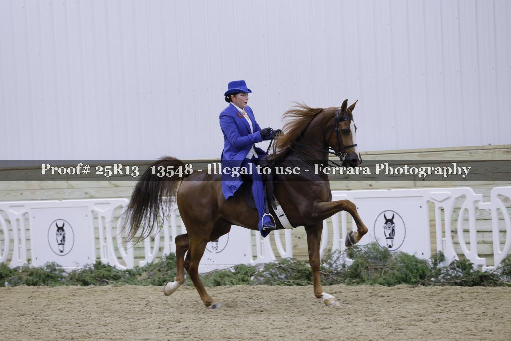 Proof 25R13_13548