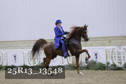 25R13_13548 proof
