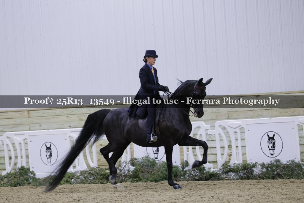 Proof 25R13_13549