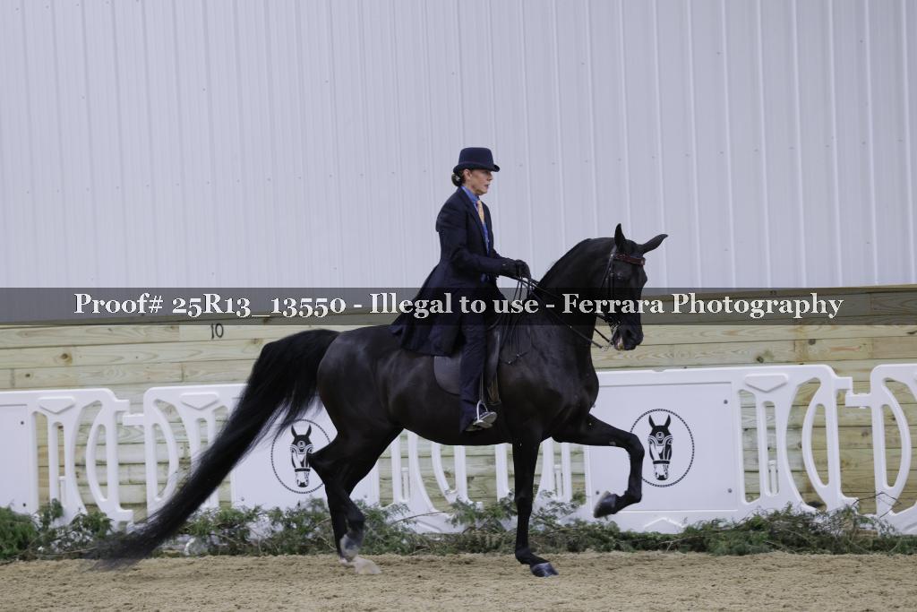 Proof 25R13_13550