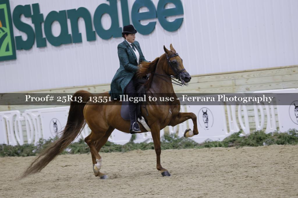 Proof 25R13_13551