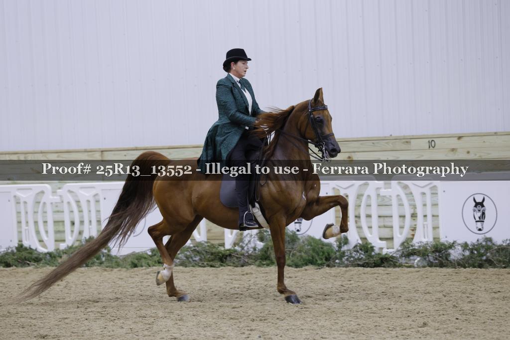 Proof 25R13_13552