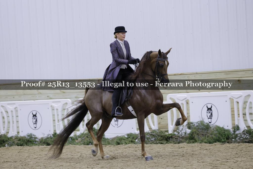Proof 25R13_13553