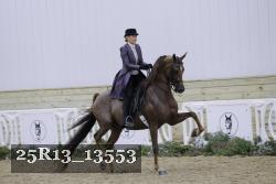 25R13_13553 proof