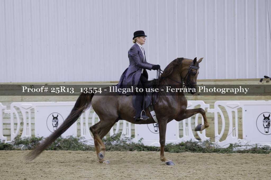 Proof 25R13_13554