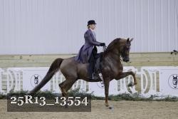 25R13_13554 proof