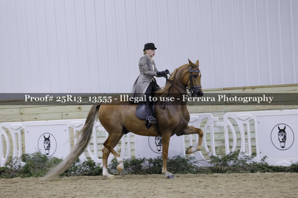 Proof 25R13_13555