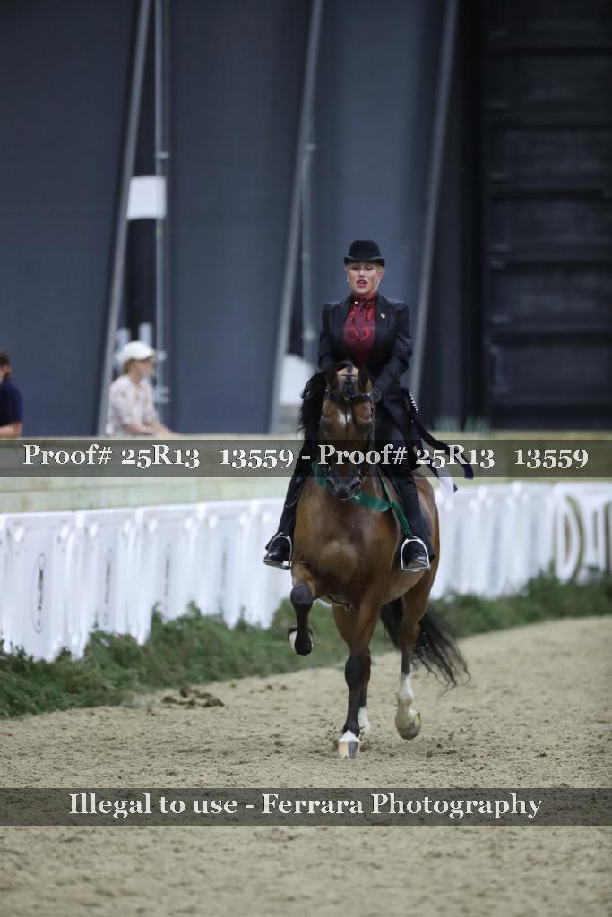 Proof 25R13_13559