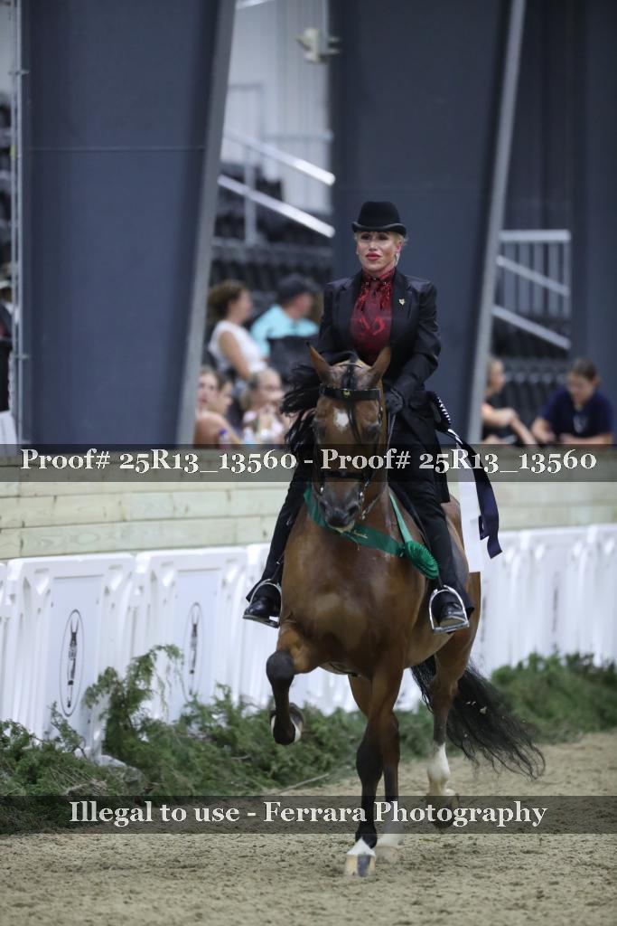 Proof 25R13_13560