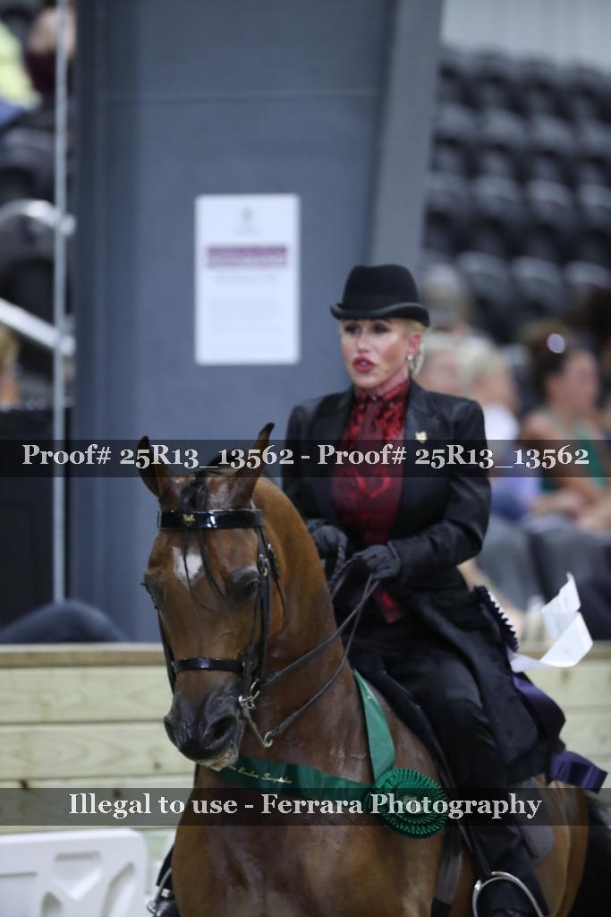 Proof 25R13_13562