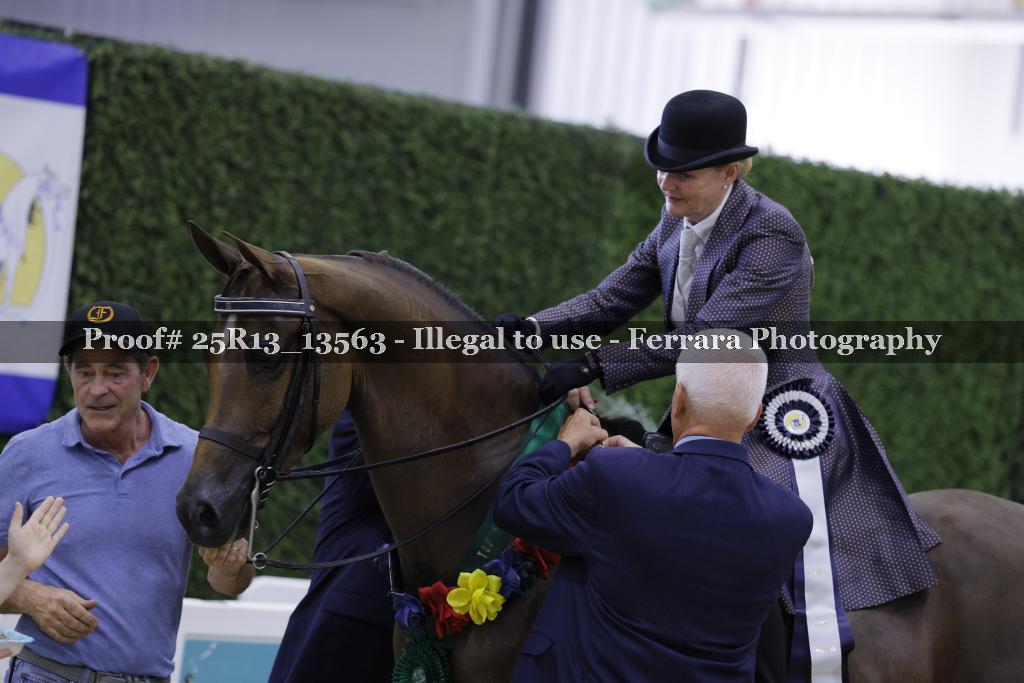Proof 25R13_13563