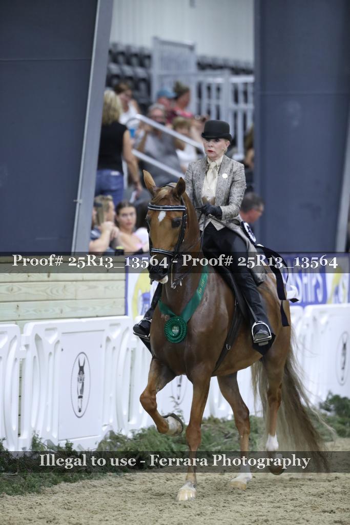 Proof 25R13_13564