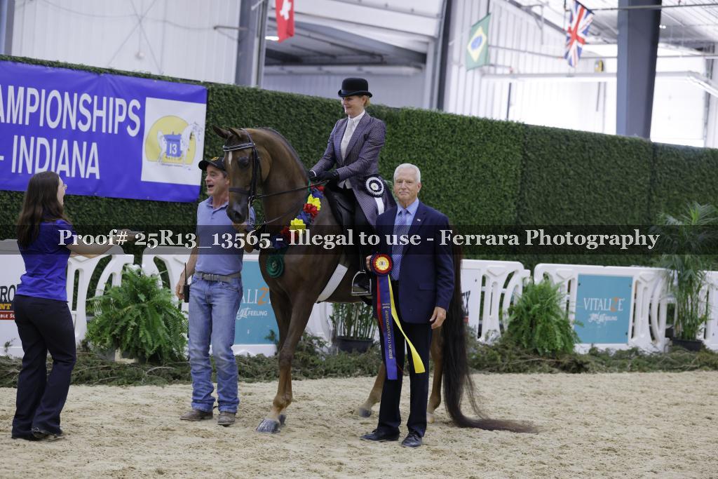 Proof 25R13_13565