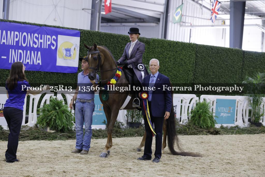 Proof 25R13_13566