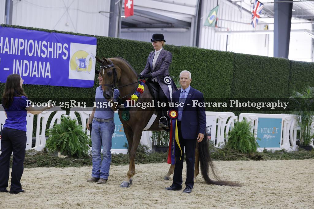 Proof 25R13_13567