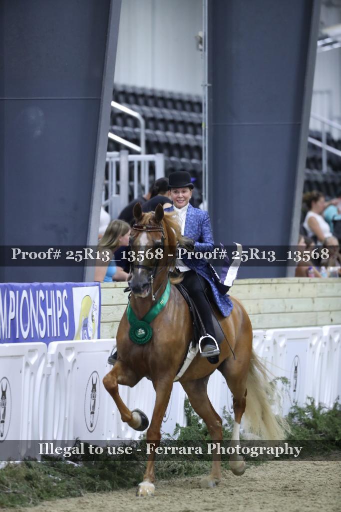 Proof 25R13_13568