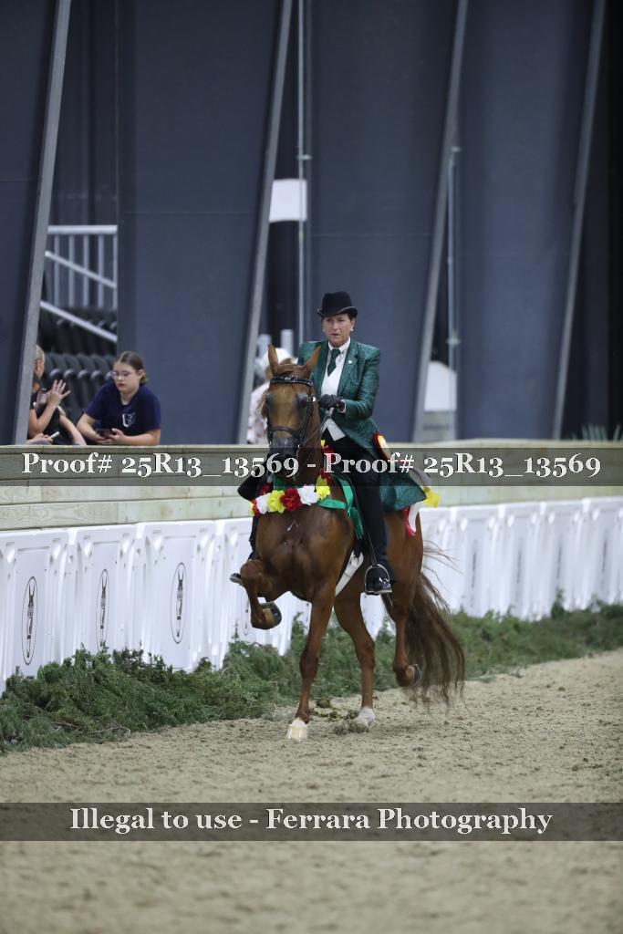 Proof 25R13_13569