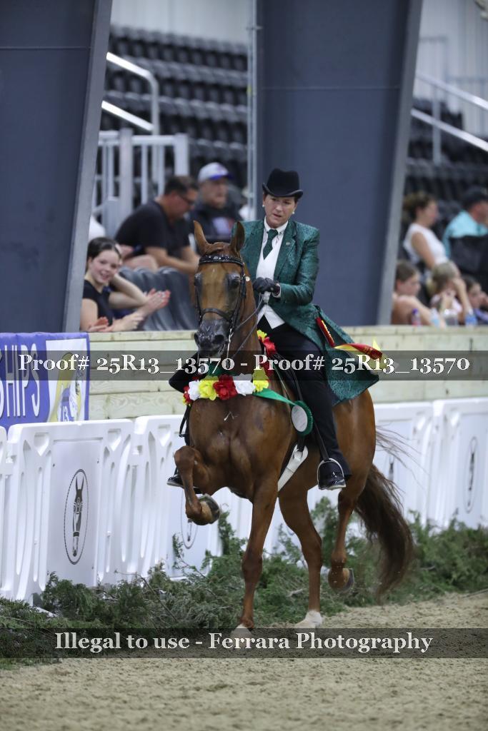 Proof 25R13_13570