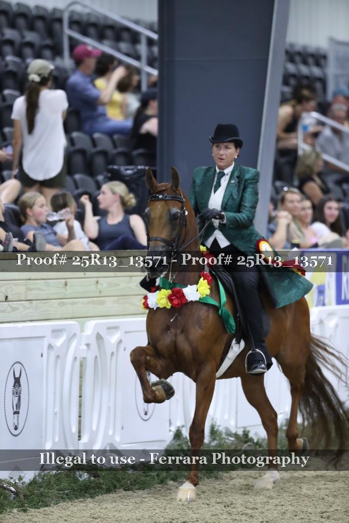 Proof 25R13_13571