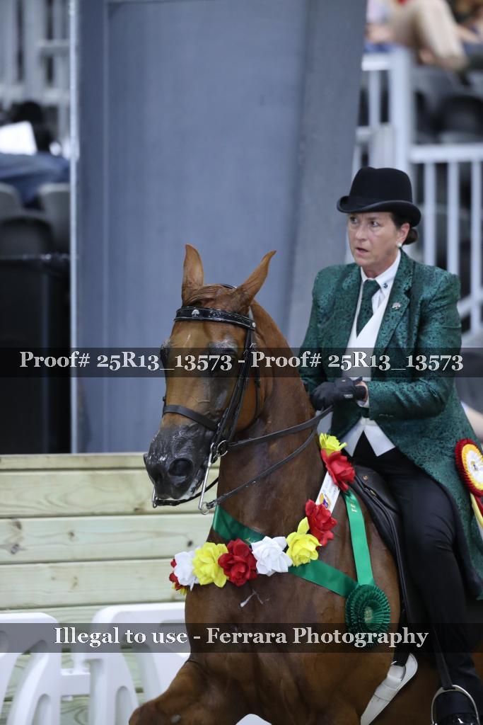 Proof 25R13_13573
