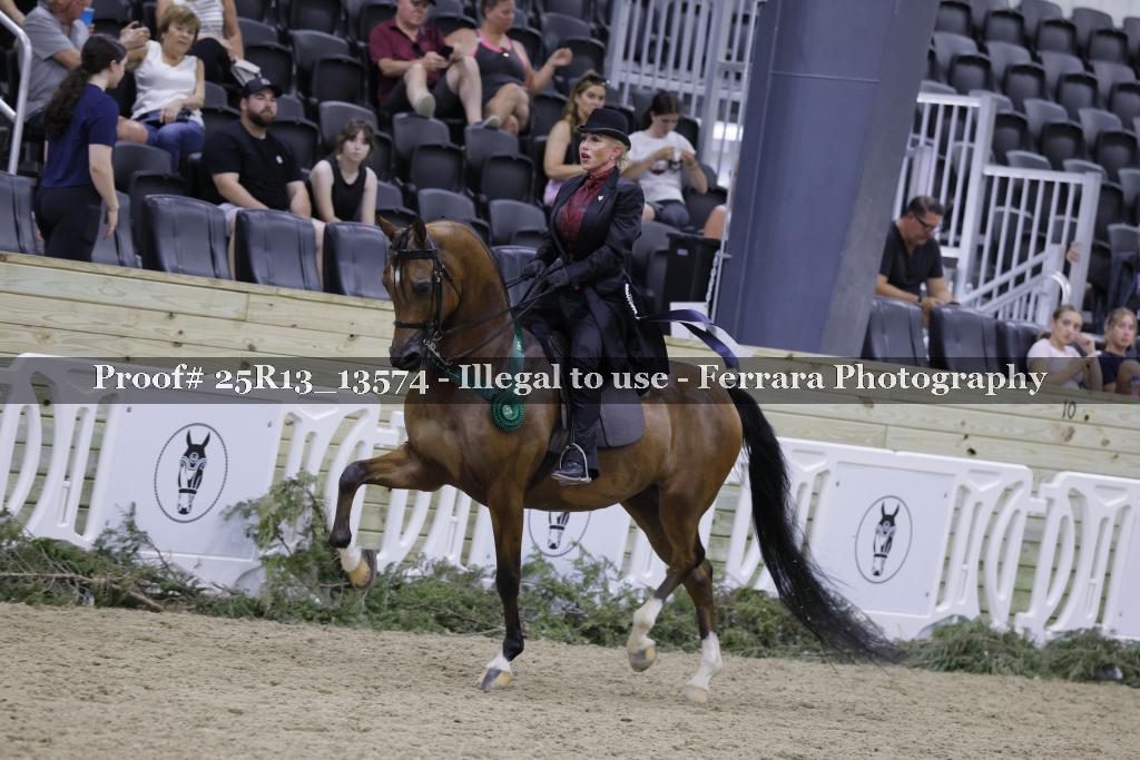 Proof 25R13_13574