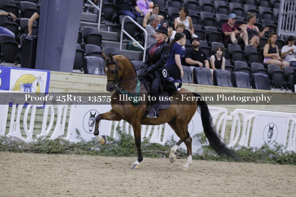 Proof 25R13_13575