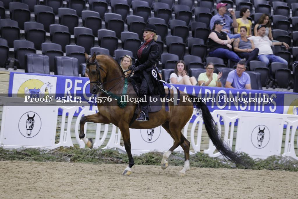 Proof 25R13_13576