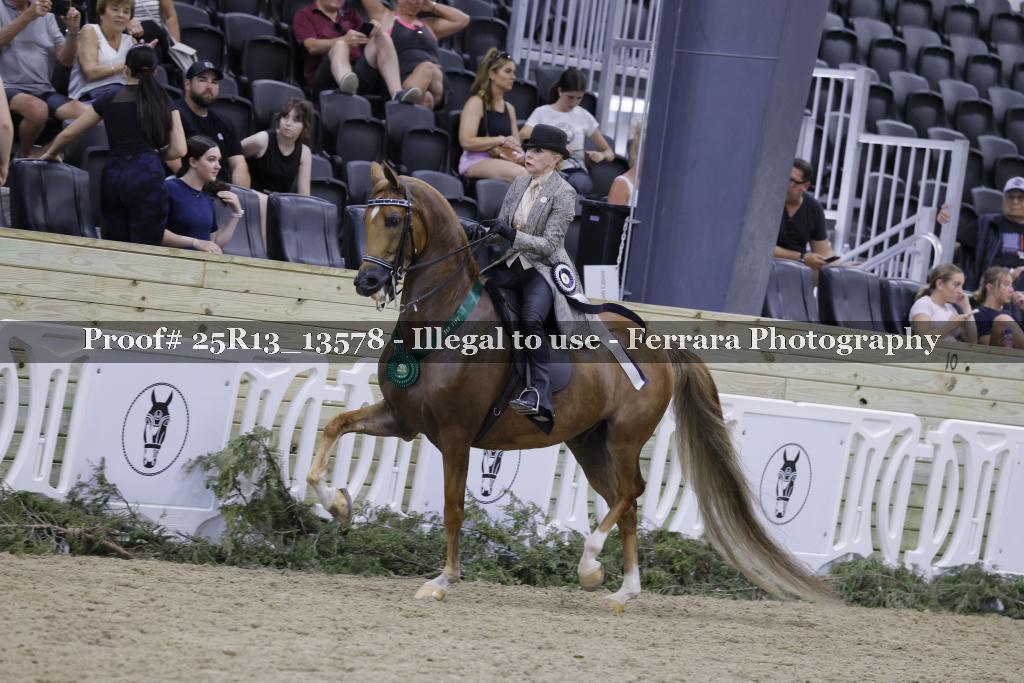 Proof 25R13_13578