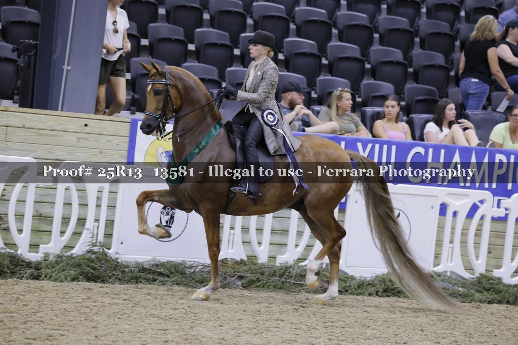 Proof 25R13_13581