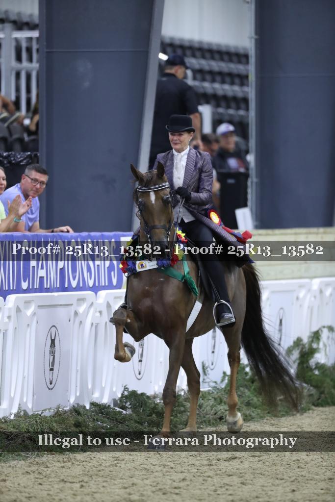 Proof 25R13_13582