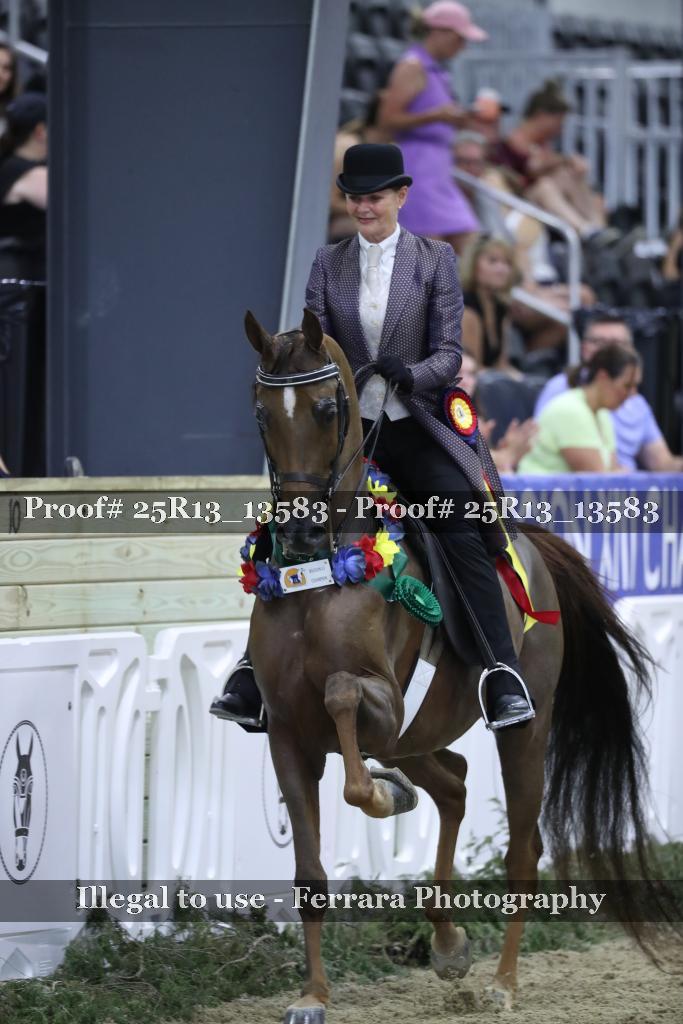 Proof 25R13_13583