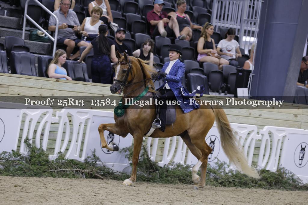 Proof 25R13_13584
