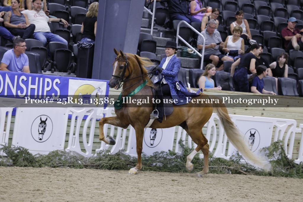 Proof 25R13_13585