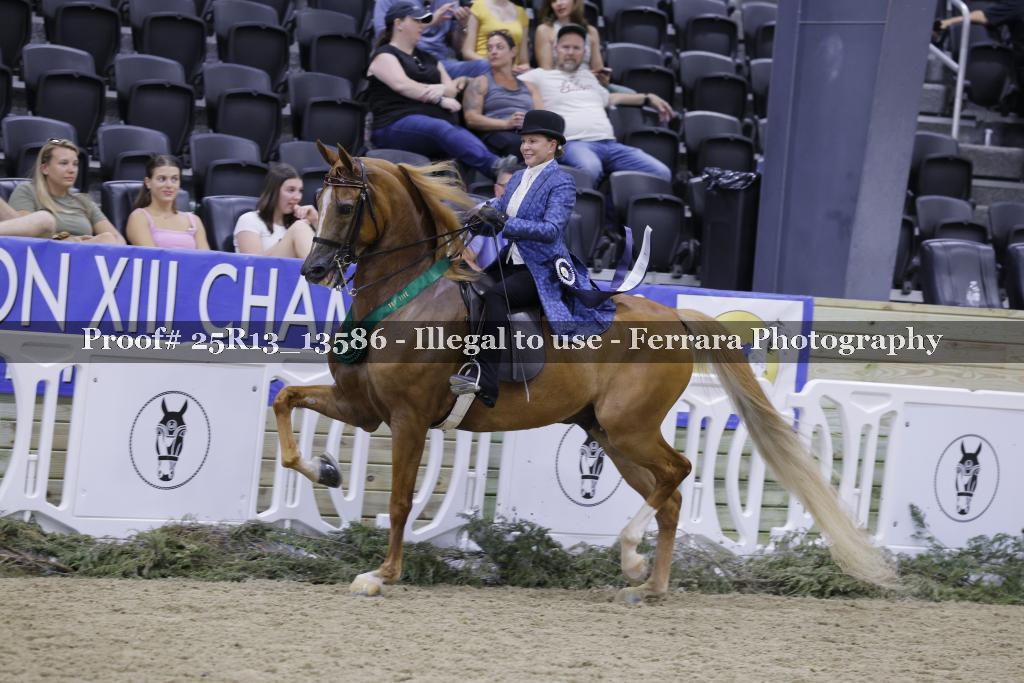 Proof 25R13_13586