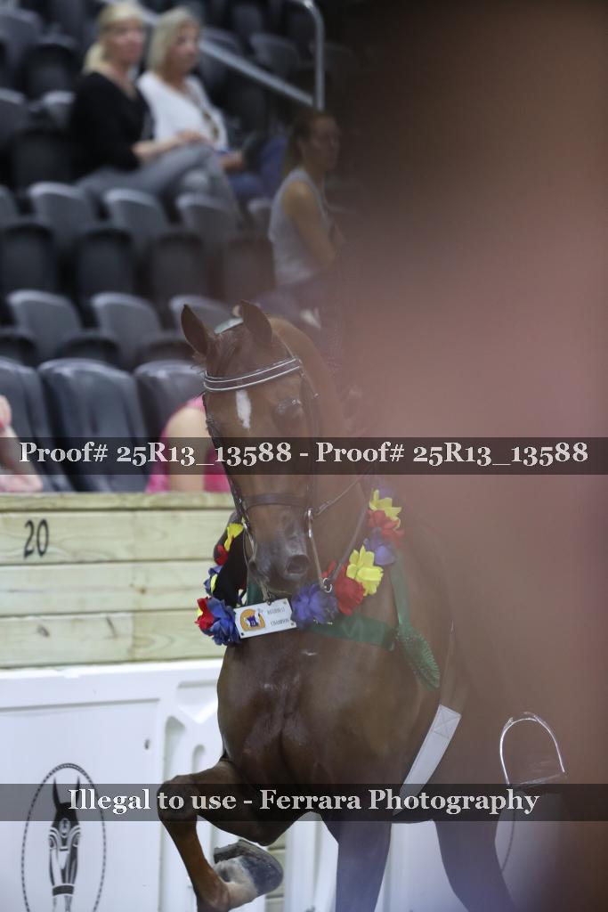 Proof 25R13_13588