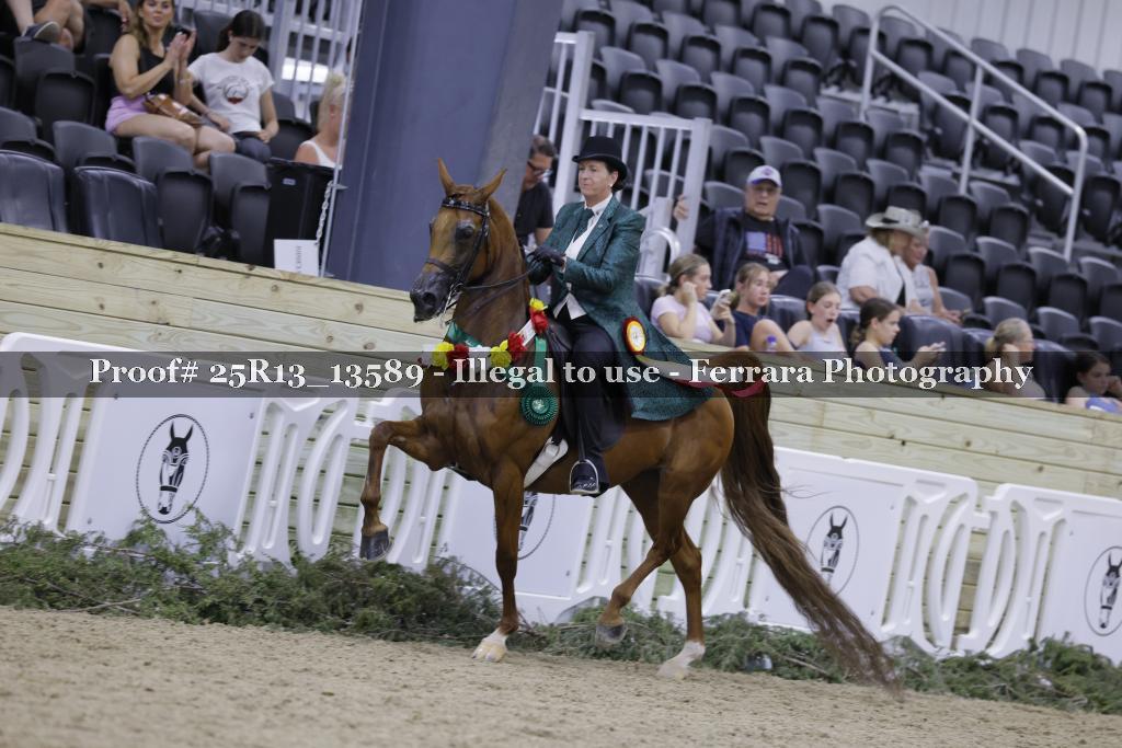 Proof 25R13_13589