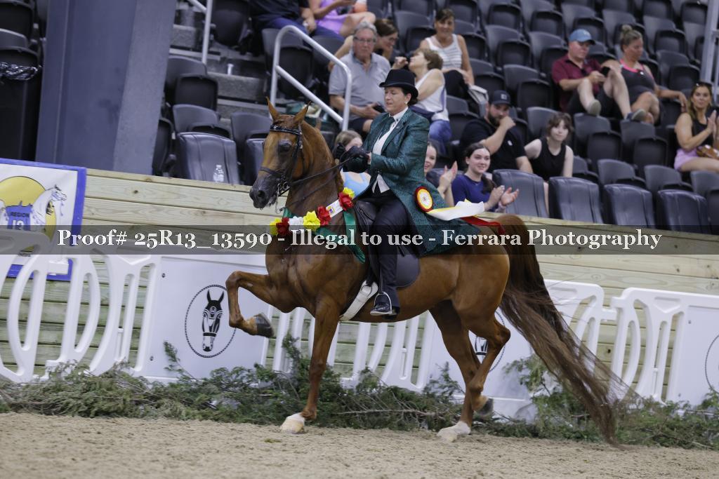 Proof 25R13_13590