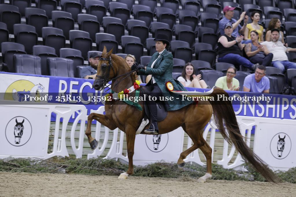 Proof 25R13_13592