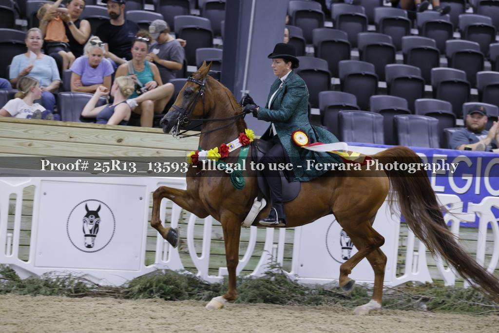 Proof 25R13_13593