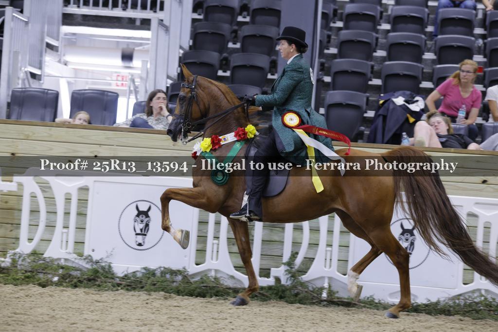 Proof 25R13_13594
