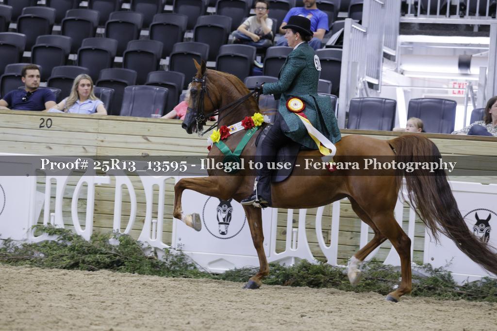 Proof 25R13_13595