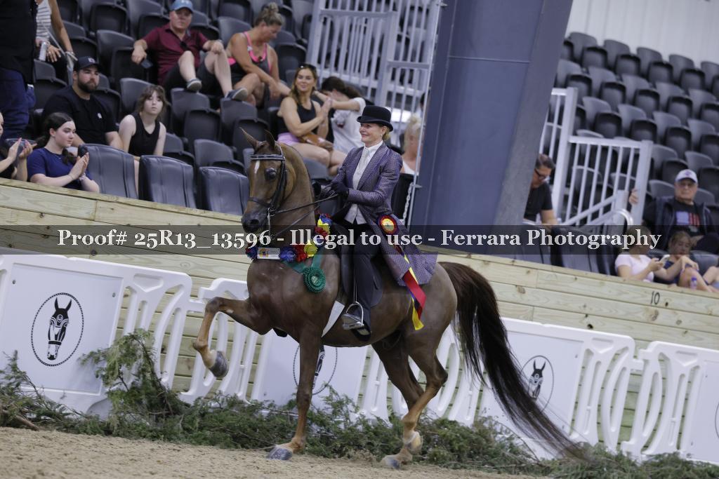 Proof 25R13_13596