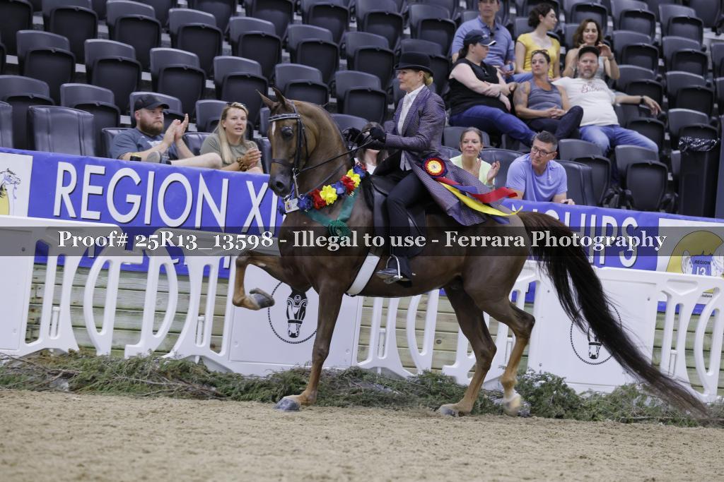 Proof 25R13_13598