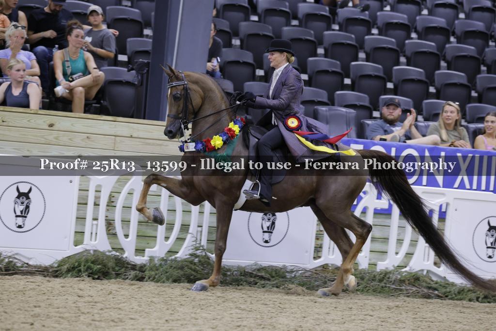 Proof 25R13_13599