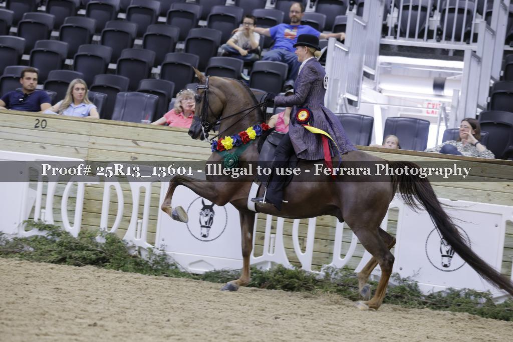 Proof 25R13_13601