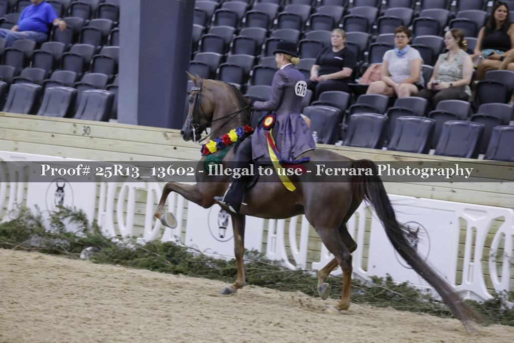 Proof 25R13_13602