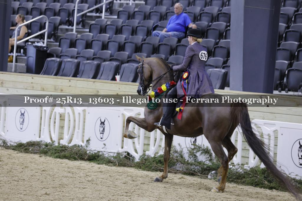 Proof 25R13_13603