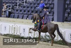 25R13_13603 proof